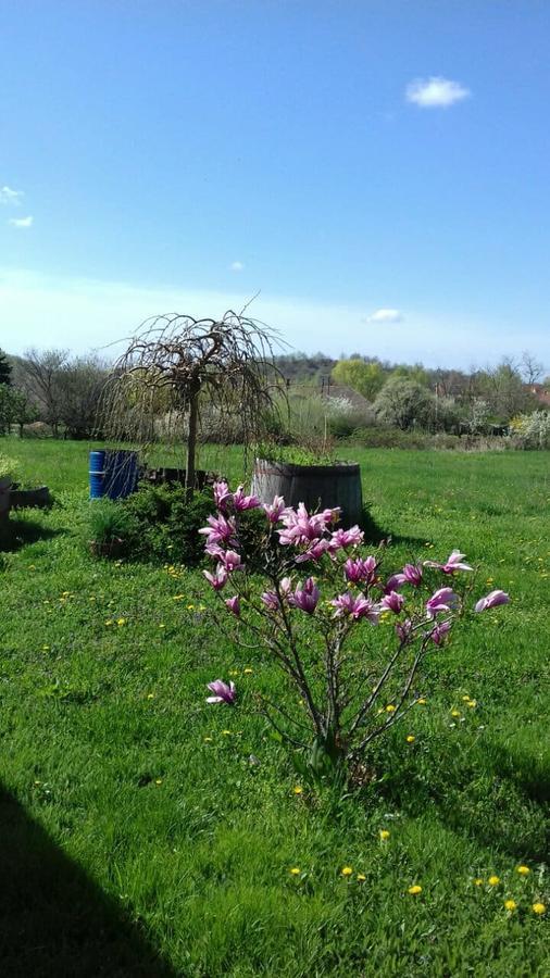 Mezesfeszer Apartman Daire Cserkút Dış mekan fotoğraf